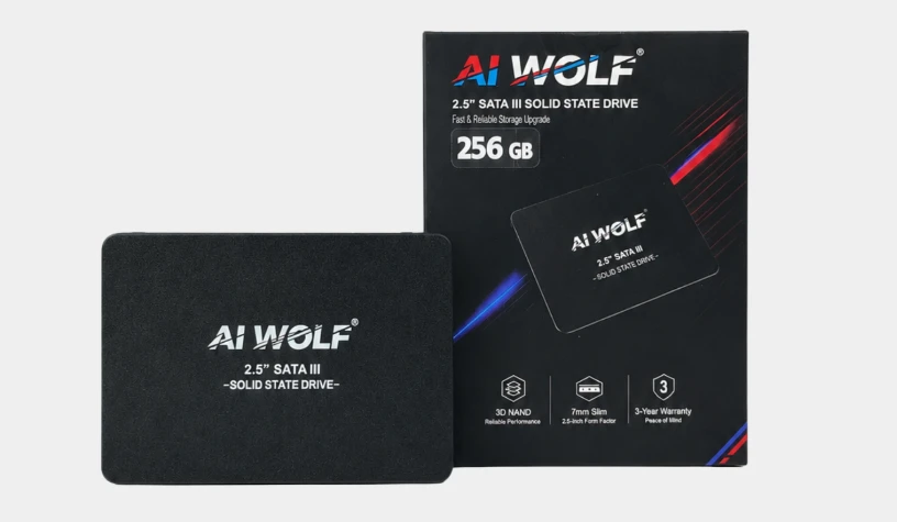 Ổ cứng SSD 256GB