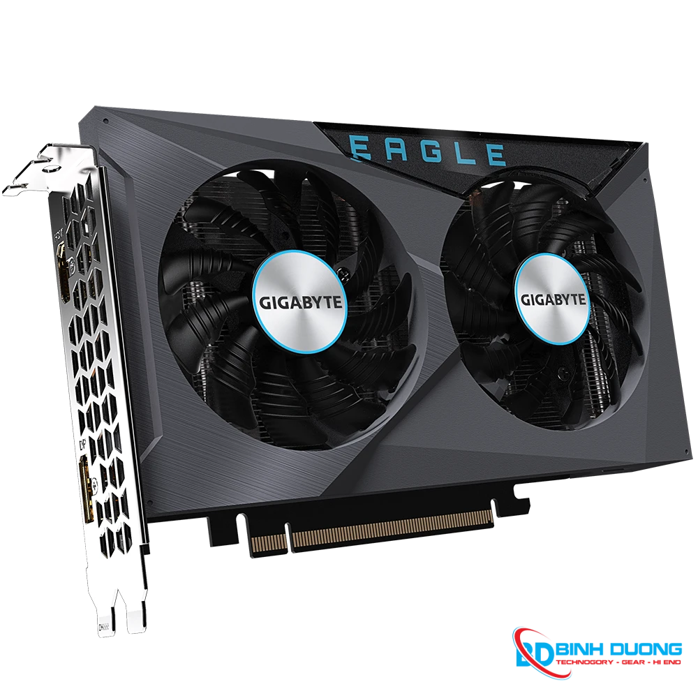 VGA Gigabyte Radeon™ RX 6500 XT EAGLE 4G (GV-R65XTEAGLE-4GD) - Chi tiết 1